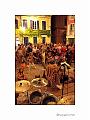 IMG_2920R_N