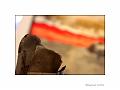 IMG_8783a