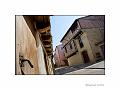 IMG_7627a