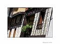 IMG_8712a