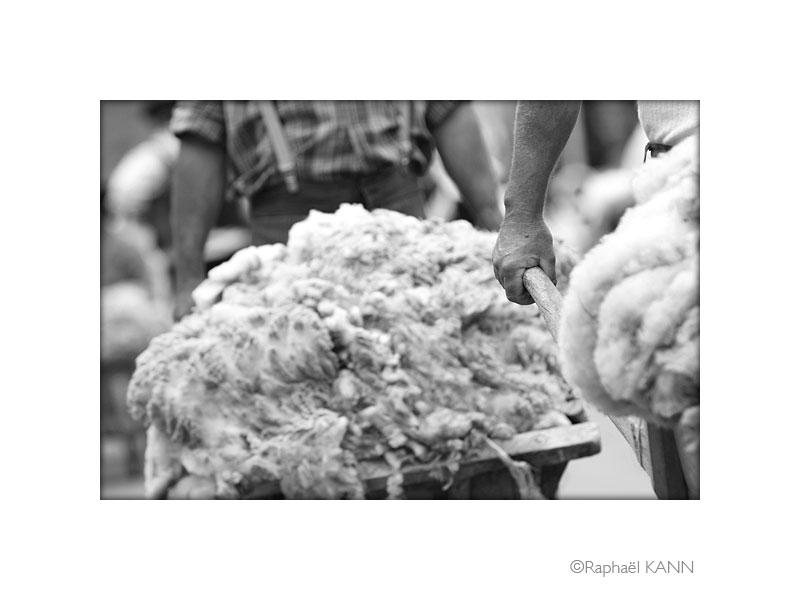 IMG_3765.jpg