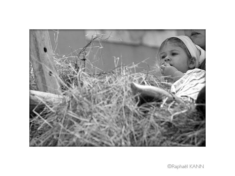 IMG_4114b.jpg