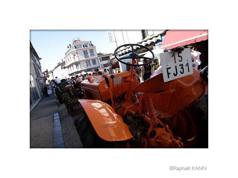 IMG_0250R.jpg