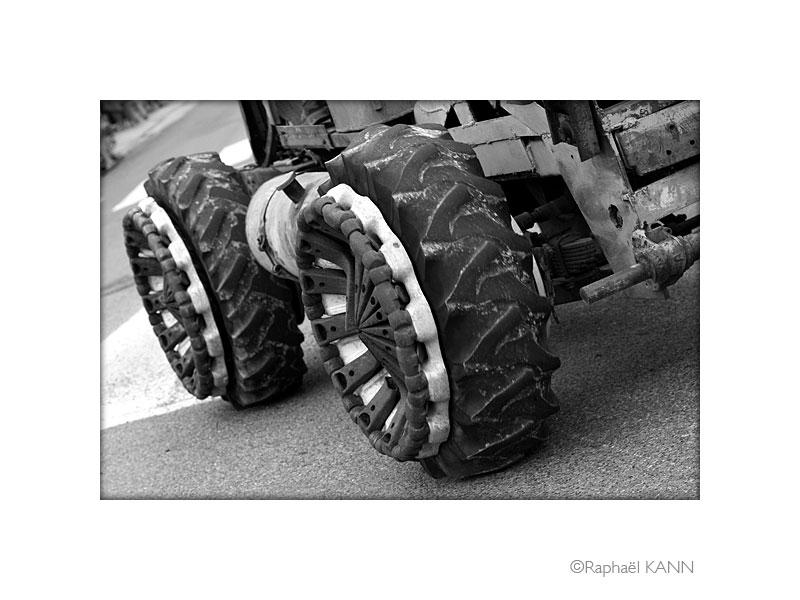 IMG_3697a.jpg