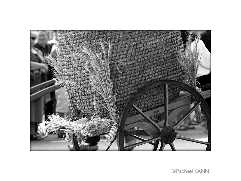 IMG_4125a.jpg