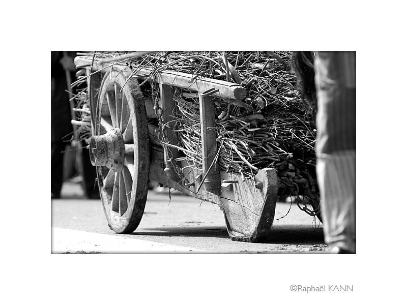IMG_4211a.jpg