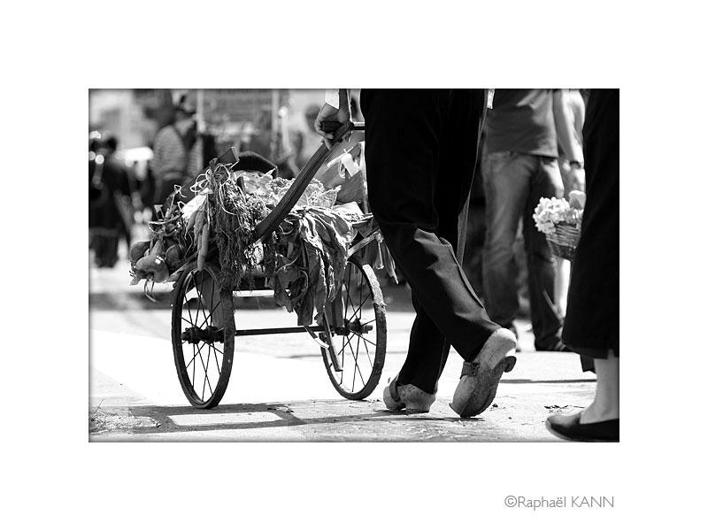 IMG_4527a.jpg