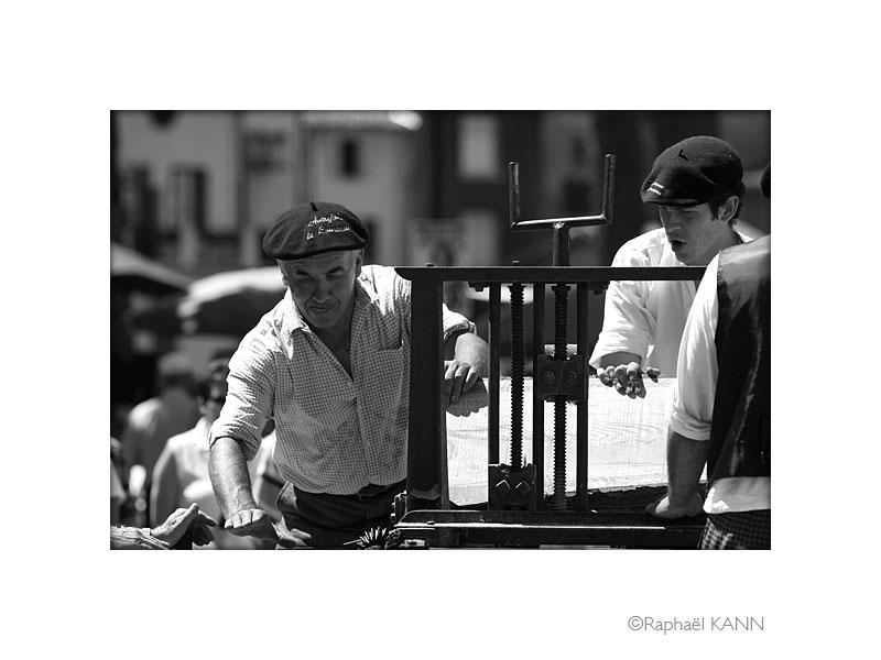 IMG_4805.jpg