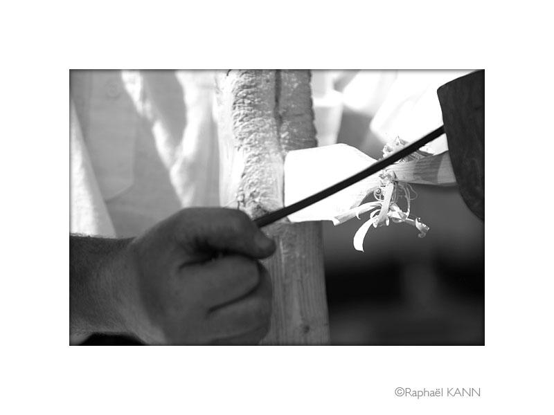 IMG_4886.jpg