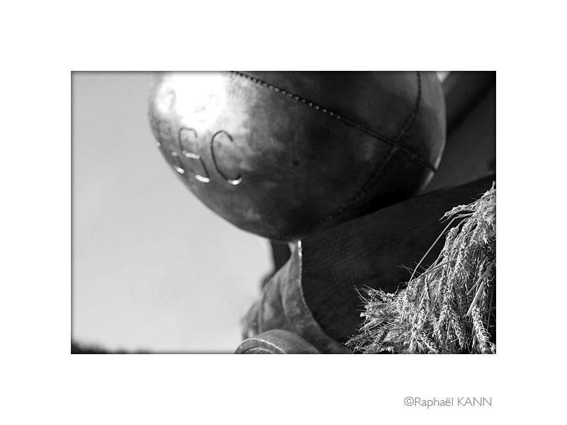 IMG_4927a.jpg