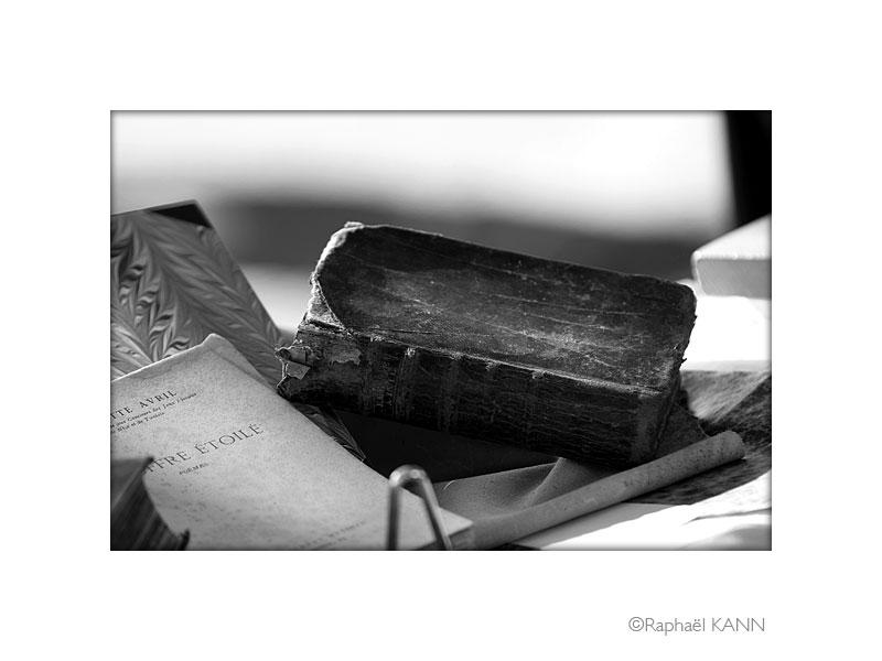 IMG_4938a.jpg