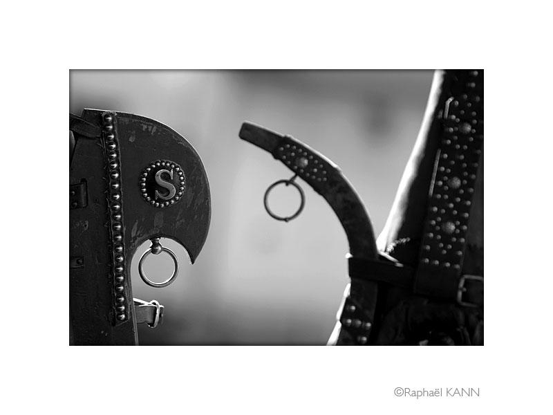 IMG_4970a.jpg