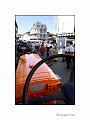 IMG_0233a