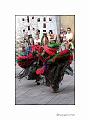 IMG_5445a