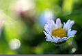 IMG_6965R