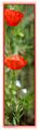 Pano_Fleur_03_expo