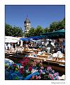 IMG_0905R2