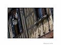 IMG_2569R