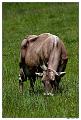 _MG_5507a