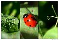 _MG_9321a